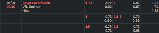 ty-le-keo-bayer-leverkusen-vs-vfl-bochum-0230-ngay-26-01-2023-bundesliga.png