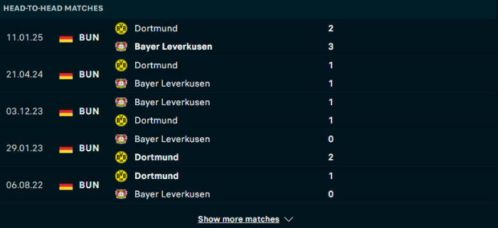 Lịch sử đối đầu Bayer Leverkusen vs Dortmund